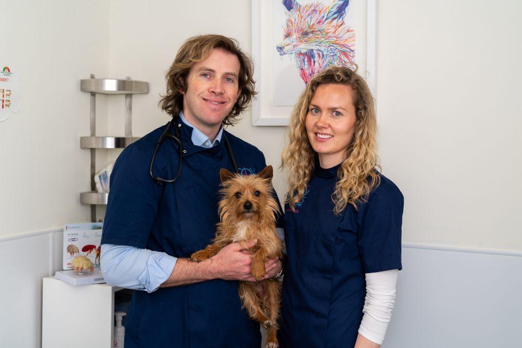 About Fox Veternarian Clinic | Finglas | Dublin 11